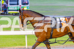 2025_PACEPIX_GP24102025_Race3_HillviewBondi_WIN_WEB-20