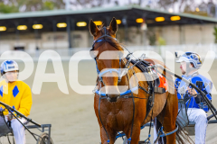 2025_PACEPIX_GP24102025_Race3_HillviewBondi_WIN_WEB-3
