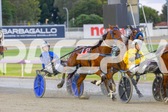 2025_PACEPIX_GP24102025_Race3_HillviewBondi_WIN_WEB-7