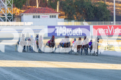 2026_PACEPIX_GP03032026_RACE3_HolyMoley_WIN_WEB-1