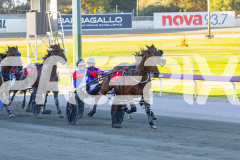 2026_PACEPIX_GP03032026_RACE3_HolyMoley_WIN_WEB-3