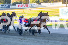 2026_PACEPIX_GP03032026_RACE3_HolyMoley_WIN_WEB-4