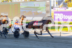 2026_PACEPIX_GP03032026_RACE3_HolyMoley_WIN_WEB-5