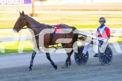 2026_PACEPIX_GP03032026_RACE3_HolyMoley_WIN_WEB-8
