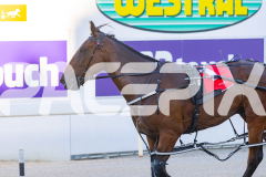 2026_PACEPIX_GP03032026_RACE3_HolyMoley_WIN_WEB-9