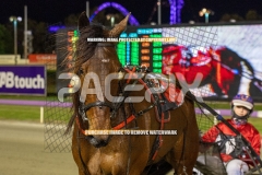 Hotly-Pursued_25-09-2026_WIN_Gloucester-Park_3__12
