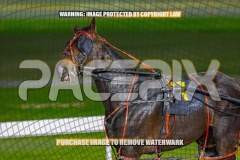 2026_PACEPIX_GP02102026_Race3_Hugotastic_WIN_WEB-13