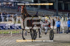 2026_PACEPIX_GP02102026_Race3_Hugotastic_WIN_WEB-17