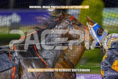 2026_PACEPIX_GP02102026_Race3_Hugotastic_WIN_WEB-2