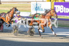 Ideal-Whisper_17-02-2026_WIN_Cloucester-Park_3__06-1