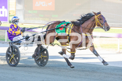 Ideal-Whisper_17-02-2026_WIN_Cloucester-Park_3__07-1