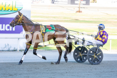 Ideal-Whisper_17-02-2026_WIN_Cloucester-Park_3__12-1