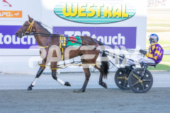 Ideal-Whisper_17-02-2026_WIN_Cloucester-Park_3__13-1