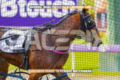 2026_PACEPIX_GP27072026_Race3_Ilikeitlikethat_WIN_WEB-10