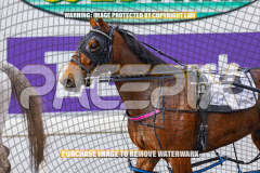 2026_PACEPIX_GP27072026_Race3_Ilikeitlikethat_WIN_WEB-12