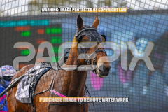 2026_PACEPIX_GP27072026_Race3_Ilikeitlikethat_WIN_WEB-15