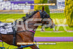 2026_PACEPIX_GP27072026_Race3_Ilikeitlikethat_WIN_WEB-2