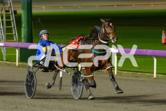 Im-Lightning-Banner_26-06-2026_WIN_Gloucester-Park_3__04