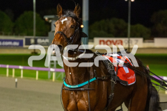Im-Lightning-Banner_26-06-2026_WIN_Gloucester-Park_3__13