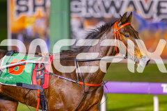 2025_PACEPIX_GP15072025_Race3_ImSpiderman_WIN_WEB-16