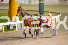 2025_PACEPIX_GP15072025_Race3_ImSpiderman_WIN_WEB-18