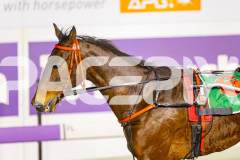 2025_PACEPIX_GP15072025_Race3_ImSpiderman_WIN_WEB-19