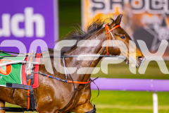 2025_PACEPIX_GP15072025_Race3_ImSpiderman_WIN_WEB-5