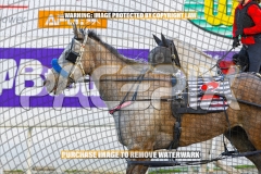 2026_PACEPIX_GP13102026_RACE3_Itsoktobegrey_WIN_WEB-11
