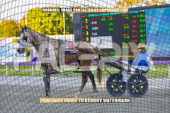 2026_PACEPIX_GP13102026_RACE3_Itsoktobegrey_WIN_WEB-12