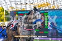 2026_PACEPIX_GP13102026_RACE3_Itsoktobegrey_WIN_WEB-14