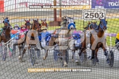 2026_PACEPIX_GP13102026_RACE3_Itsoktobegrey_WIN_WEB-3