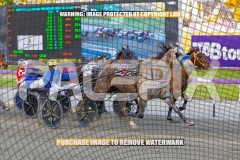 2026_PACEPIX_GP13102026_RACE3_Itsoktobegrey_WIN_WEB-6
