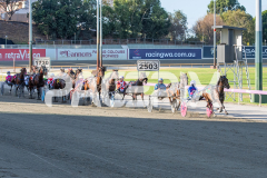 RACE 3 - Kinky