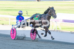 Kinky_24-03-2026_WIN_Gloucester-Park_3__03