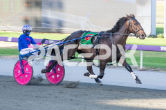 Kinky_24-03-2026_WIN_Gloucester-Park_3__06