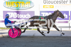 Kinky_24-03-2026_WIN_Gloucester-Park_3__08