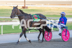Kinky_24-03-2026_WIN_Gloucester-Park_3__10