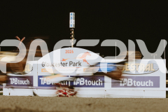 RACE 3 - Koojan