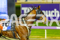2026_PACEPIX_GP12062026_RACE3_Koojan_WIN_WEB-12