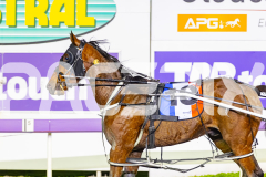 2026_PACEPIX_GP12062026_RACE3_Koojan_WIN_WEB-14