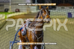 2026_PACEPIX_GP04092026_Race3_LaziDais_WIN_WEB-25