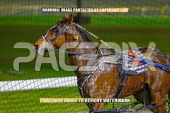 2026_PACEPIX_GP04092026_Race3_LaziDais_WIN_WEB-30