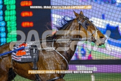 2026_PACEPIX_GP04092026_Race3_LaziDais_WIN_WEB-5