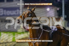 2026_PACEPIX_GP30102026_RACE3_LaziDais_WIN_WEB-17