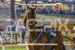 2026_PACEPIX_GP30102026_RACE3_LaziDais_WIN_WEB-25