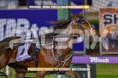 2026_PACEPIX_GP30102026_RACE3_LaziDais_WIN_WEB-6