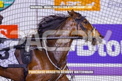 2026_PACEPIX_GP30102026_RACE3_LaziDais_WIN_WEB-7