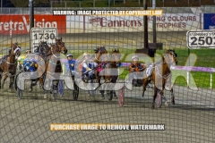 2026_PACEPIX_GP30102026_RACE3_LaziDais_WIN_WEB-9