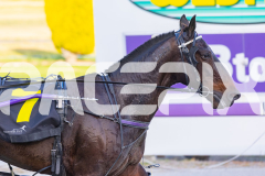 2026_PACEPIX_GP02012026_RACE3_LincolnRiver_WIN_WEB-11