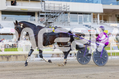 2026_PACEPIX_GP02012026_RACE3_LincolnRiver_WIN_WEB-15